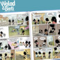 Walad et Binti (Tome 1) – Le bien gagne toujours | BD jeunesse éducative