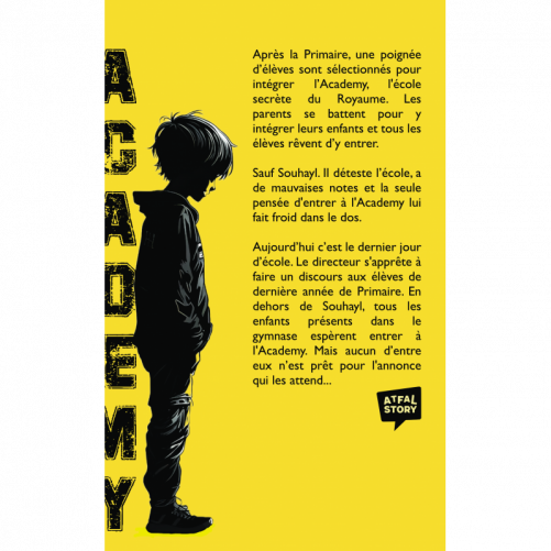 Pack Academy Story – Collection complète (Tomes 1 à 4) | Romans jeunesse